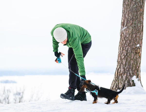 Winter Outdoor